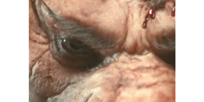 1 beyond good and evil 2png Ubisoft resurrects Beyond Good and Evil 2 and goes to space