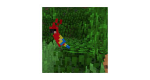 1 minecraftparrotjpg Parrots and chocolate lead to unexpected Minecraft controversy
