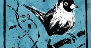 9 z0gsob 400x400 Ed Daly joins The Chinese Room as studio director