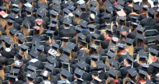 good free photos 773344 unsplash Graduate Games: Aardvark Swift event helps build up industry-academia relations