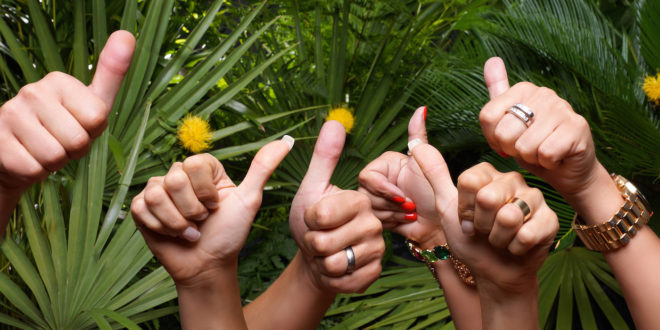 magjungleheadjpg Jobs: Welcome to the Jungle