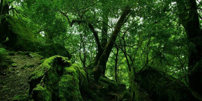 nature amazon beautiful wallpaper photos 1920x1080 Amazon to end £2 physical game discount for Prime member preorders