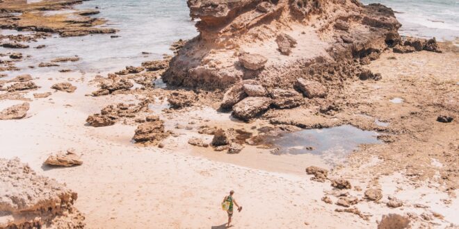 photo 1610672775749 8a5a496a797e "There are more opportunities than there have been for a decade.” – How a 30% tax relief has boosted the Australian games industry