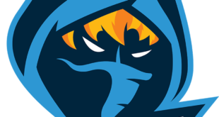 rogue logo0png Rogue disband Overwatch team after being turned away from OWL