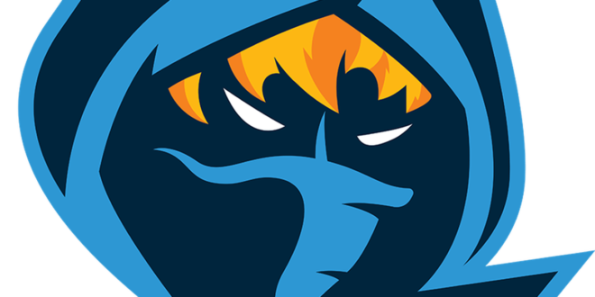 rogue logo0png Rogue disband Overwatch team after being turned away from OWL