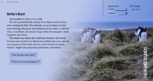 screenshot11 Former Witcher devs announce Different Tales, a new 'storytelling' studio exploring the idea of 'slow gaming'