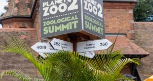 zoo [Industry news] Frontier Developments partners with Chester Zoo for Planet Zoo 2 Zoological Summit